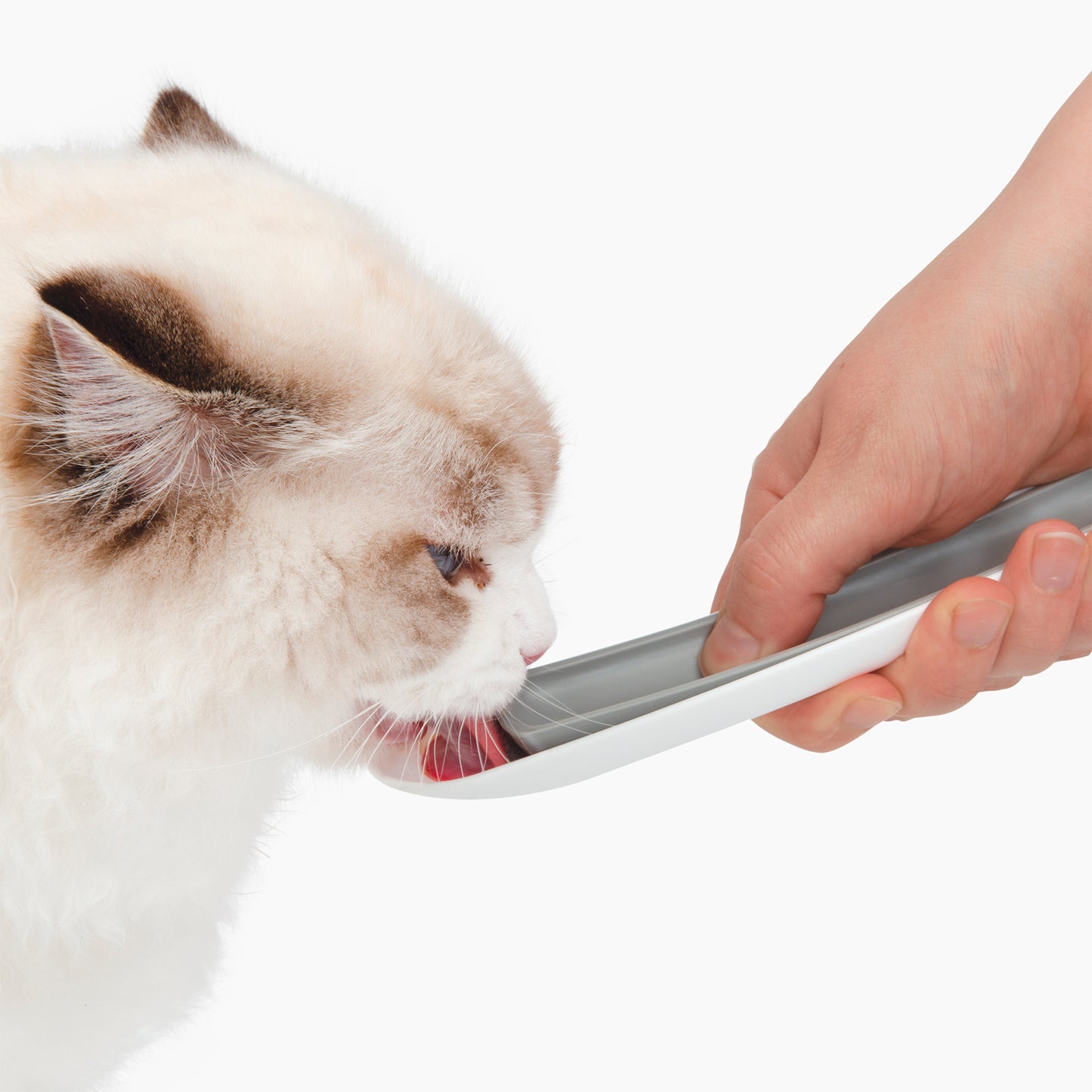 Catit Creamy Feeding Spoon