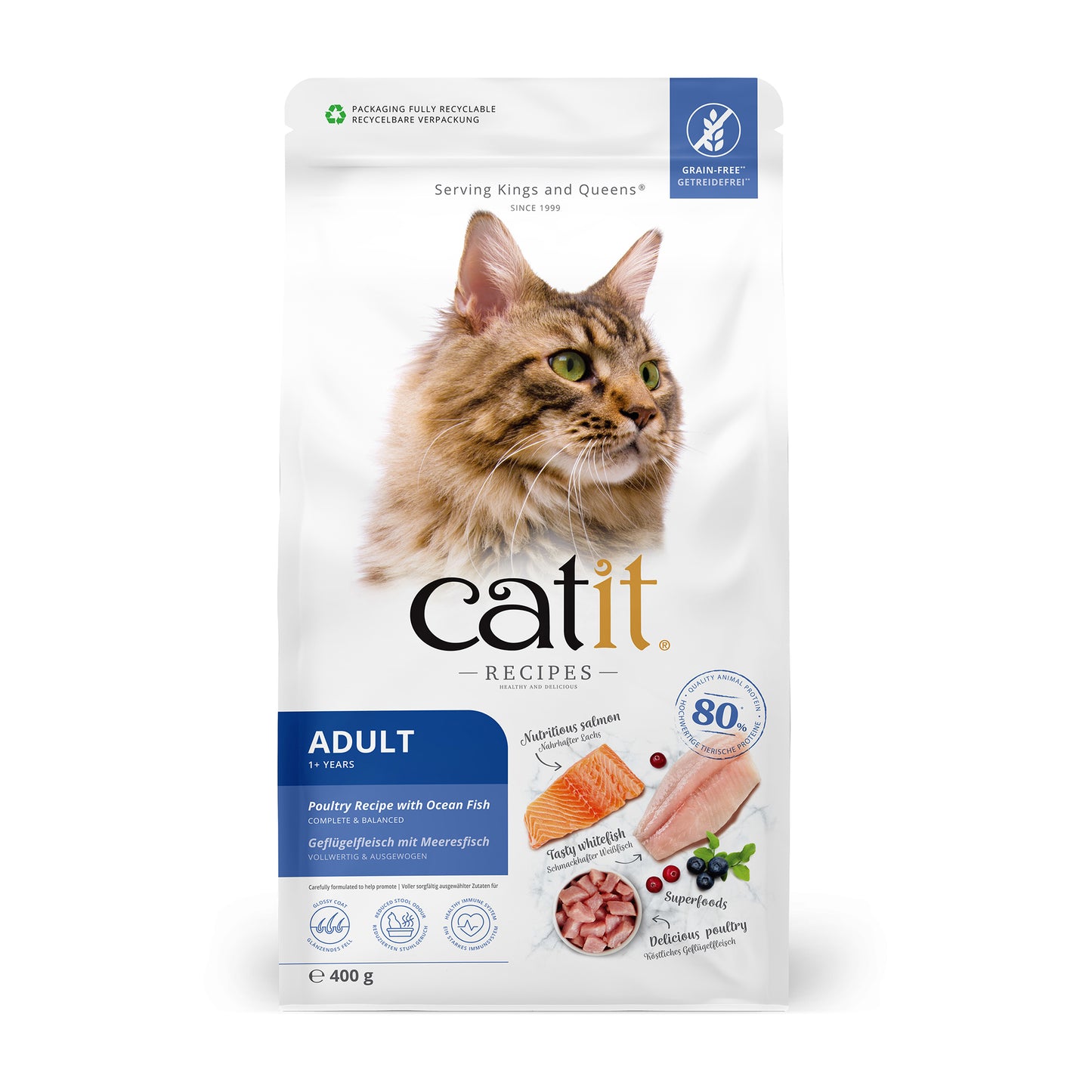 Catit Recipes Adult Oceanfish Recipe Dry Food Complete 400g