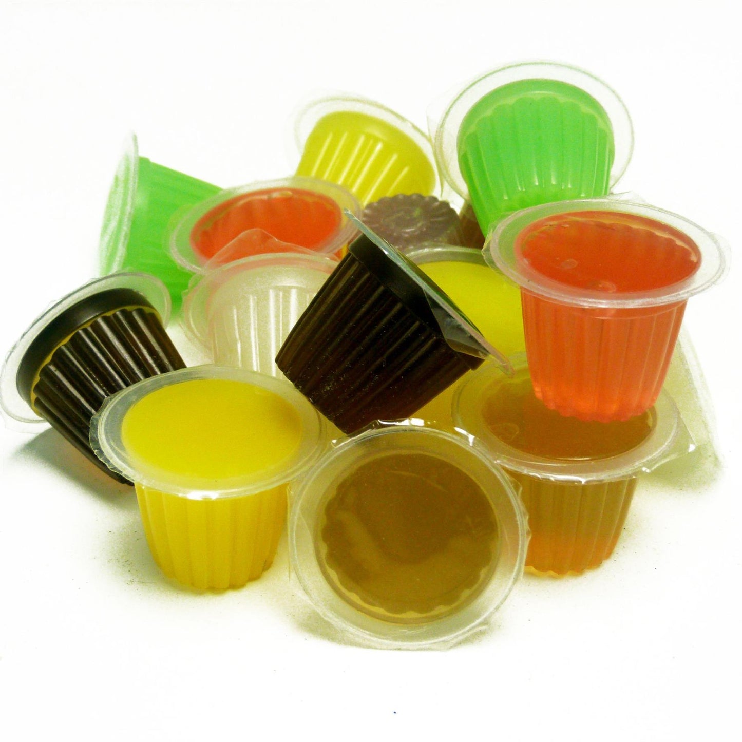 Komodo Jelly Pots Single