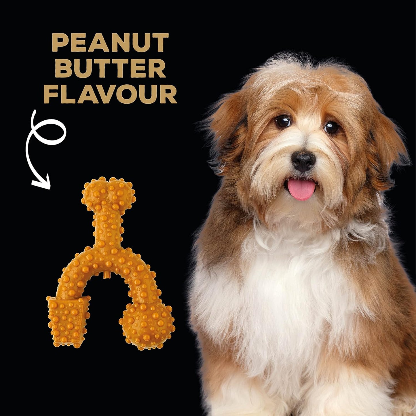 Tastybone Toy Trio Bone Peanut Butter
