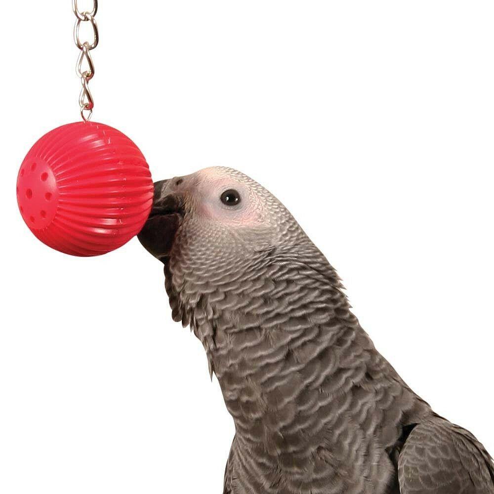 Birdy Babble Ball