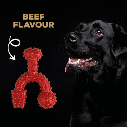Tastybone Trio Bone Large Beef