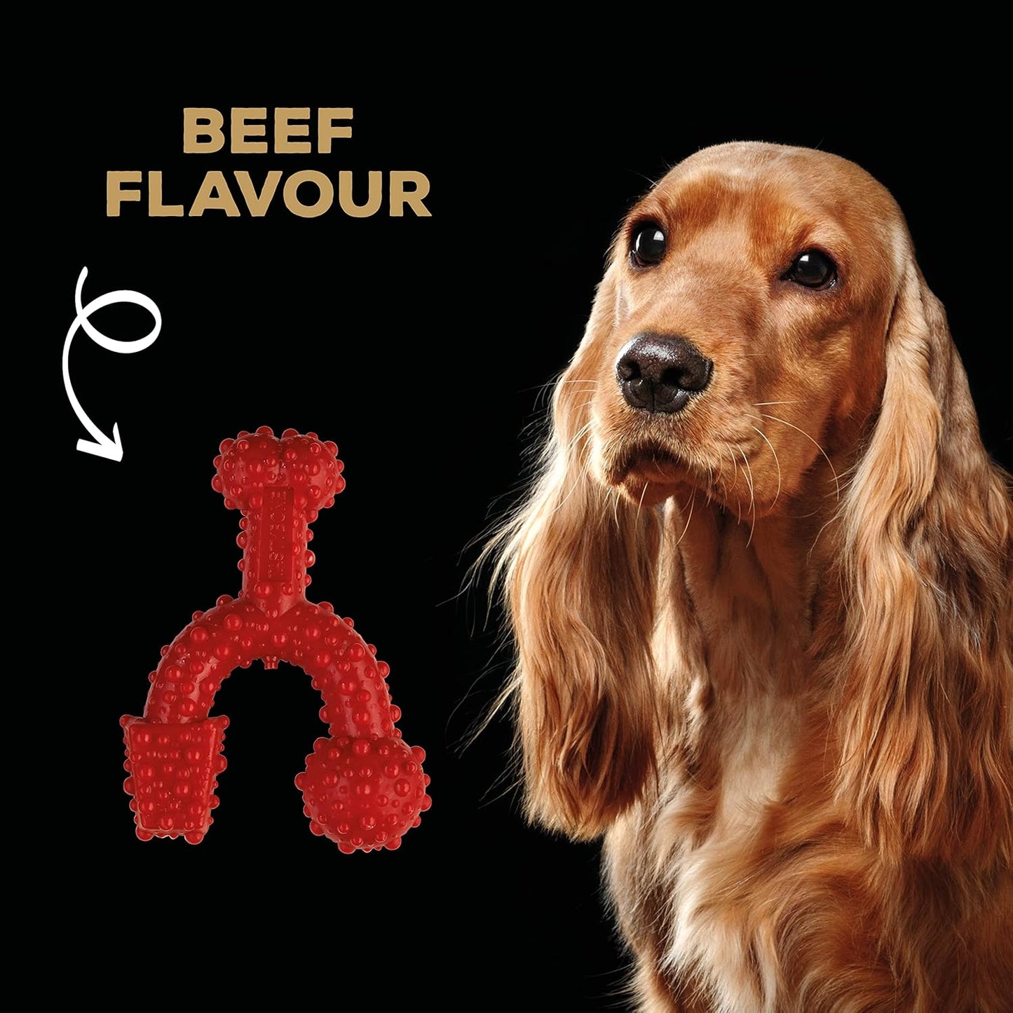 Tastybone Trio Bone Small Beef