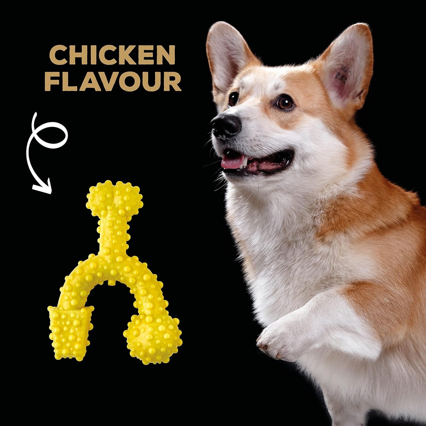 Tastybone Toy Trio Bone Chicken