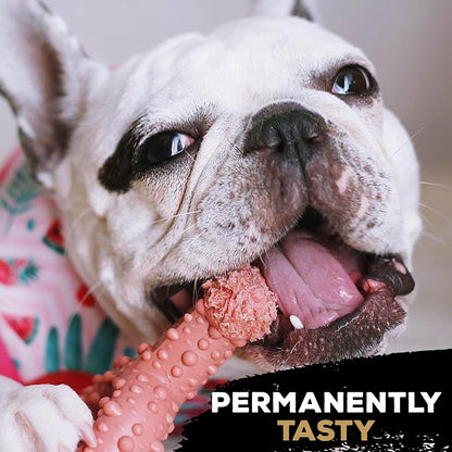Tastybone Toy Trio Bone Peanut Butter