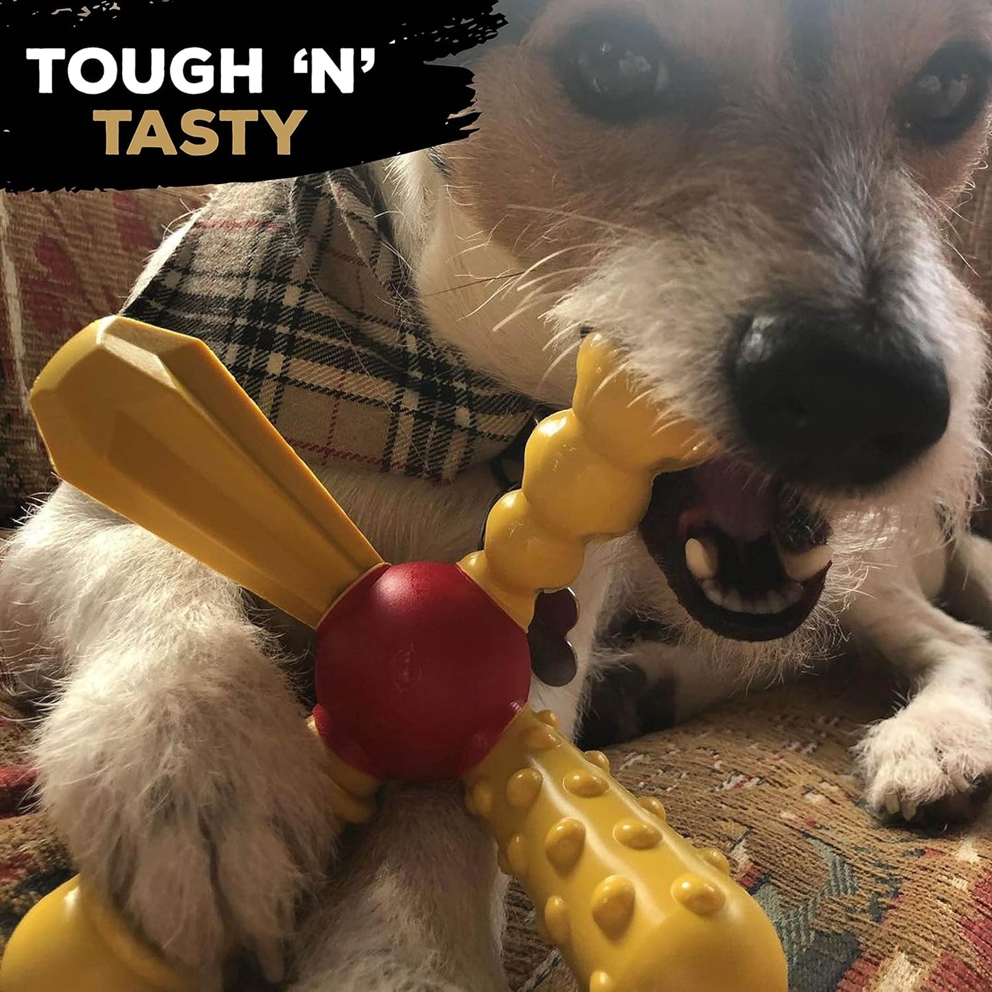 Quatrobone Tastybone Small Chorizo