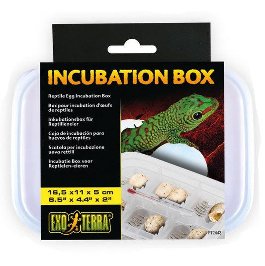 Exo Terra Incubation Egg Box