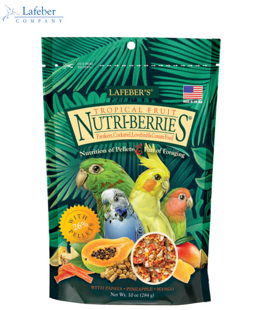 Lafeber's Tropical Nutriberries Small Parrot & Cockatiel 284g