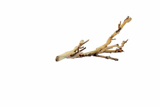 Exo Terra Forest Branch Large 60Cm