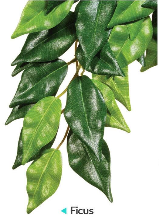 Exo Terra Ficus Silk Jungle Plant Medium