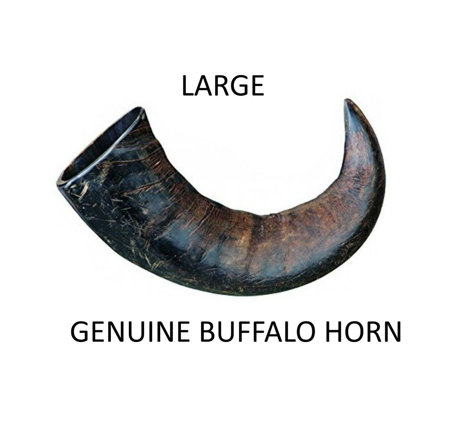 Trixie Buffalo Chewing Horn Large