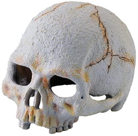 Exo Terra Primate Skull Small