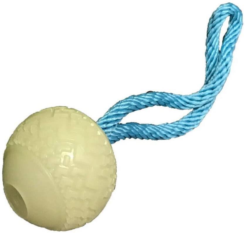 Dog Life Glow In The Dark Ball On Rope 2.5"