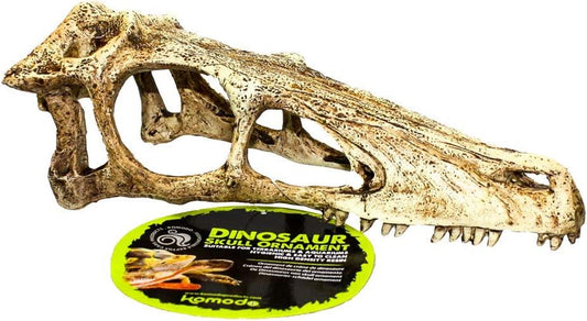 Komodo T Raptor Skull X Large