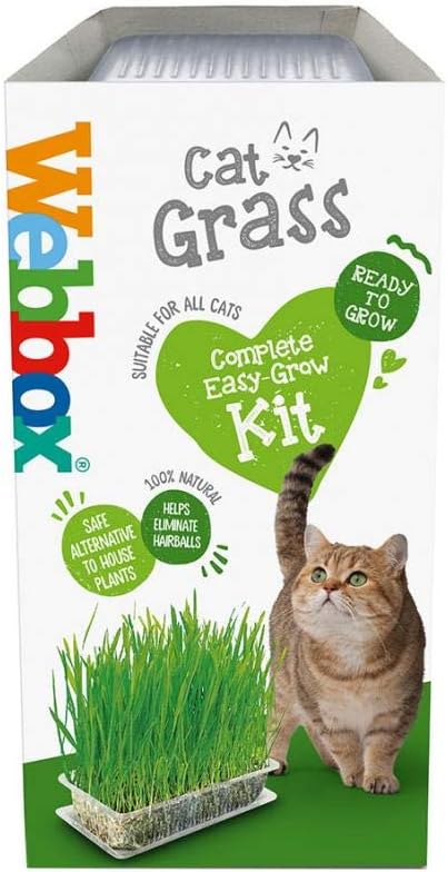 Webbox Cat Grass 120g