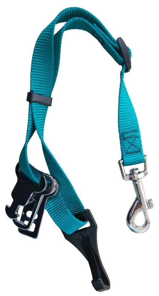 Sotnos Isofix Universal Seat Belt Restraint Teal