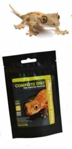 Komodo Crested Gecko Complete Diet Papaya Banana & Honey 60g