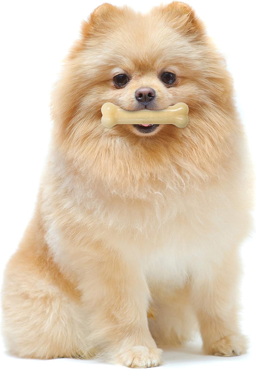 Nylabone Dura Chew Original Petite