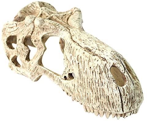 Komodo T Rex Skull X Large