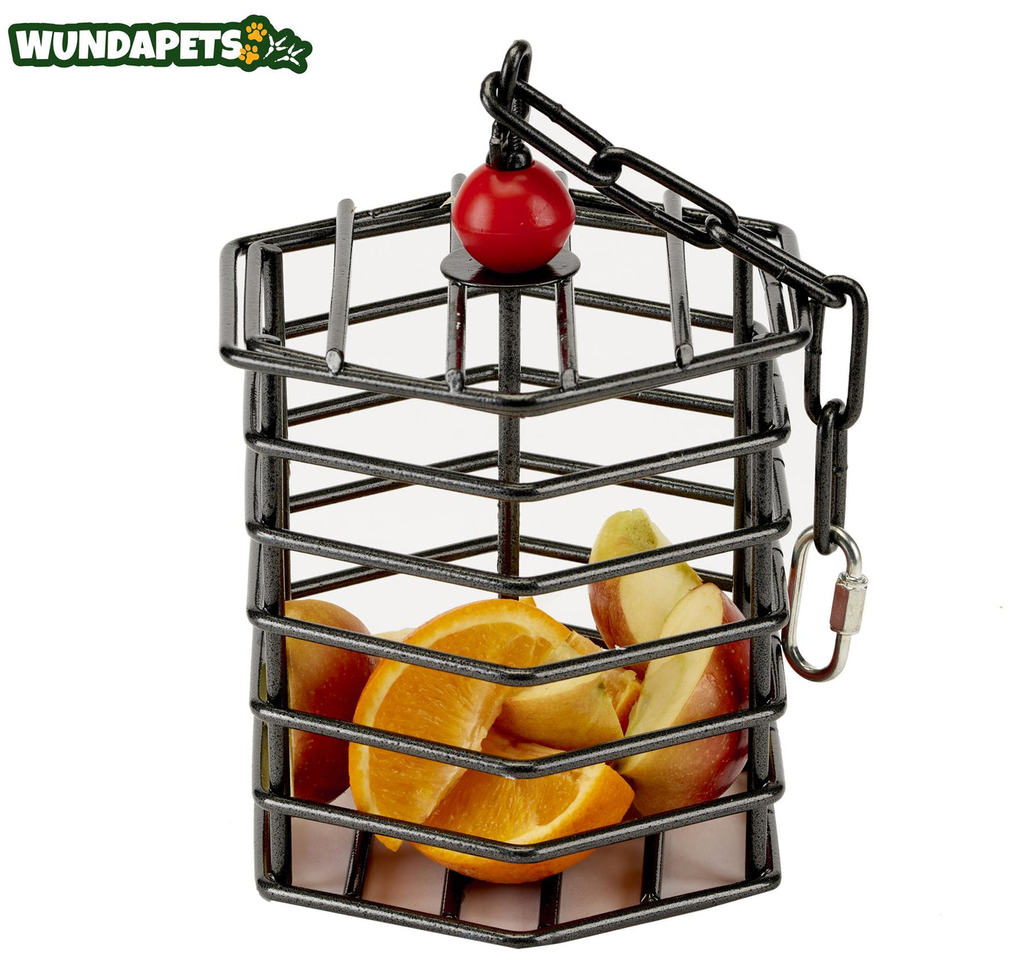 Adventure Bound Metal Parrot Treat Feeder