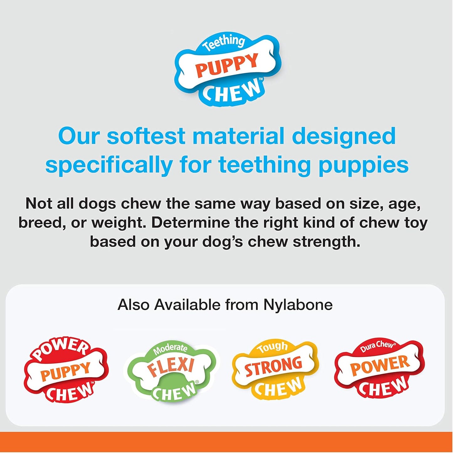 Nylabone Puppybone Regular Chicken Flavoured