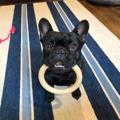 Nylabone Chew Ring Giant