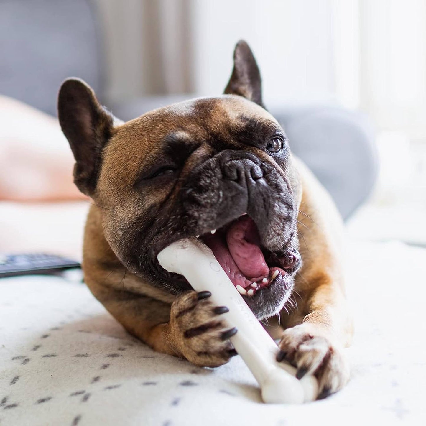 Nylabone Dura Chew Wolf Chicken