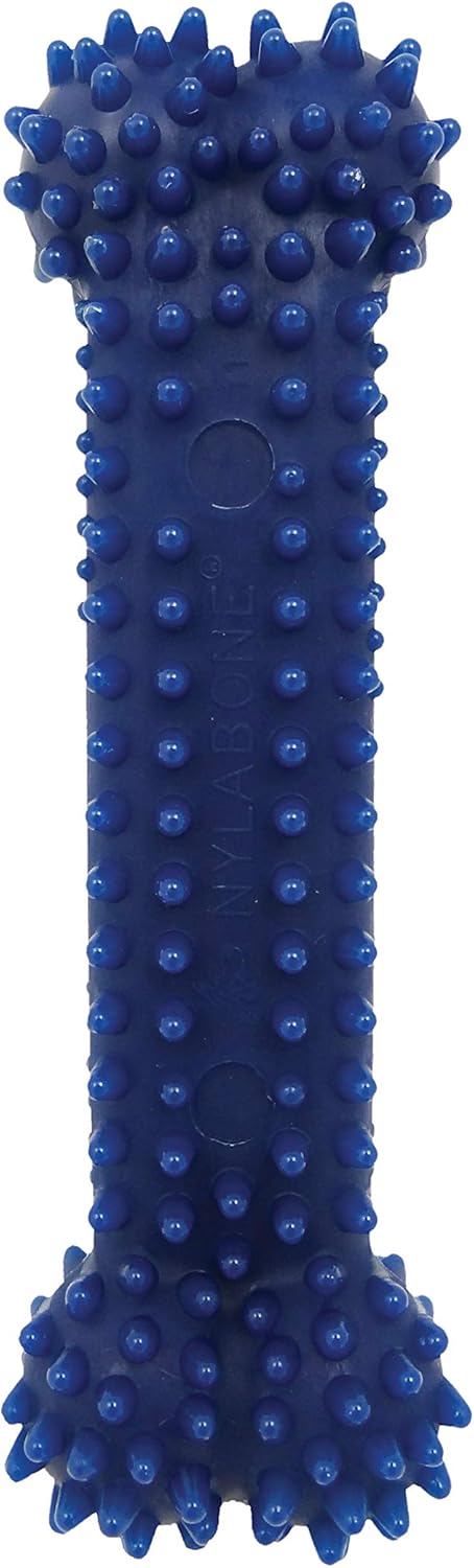 Nylabone Dental Chicken Bone X Small
