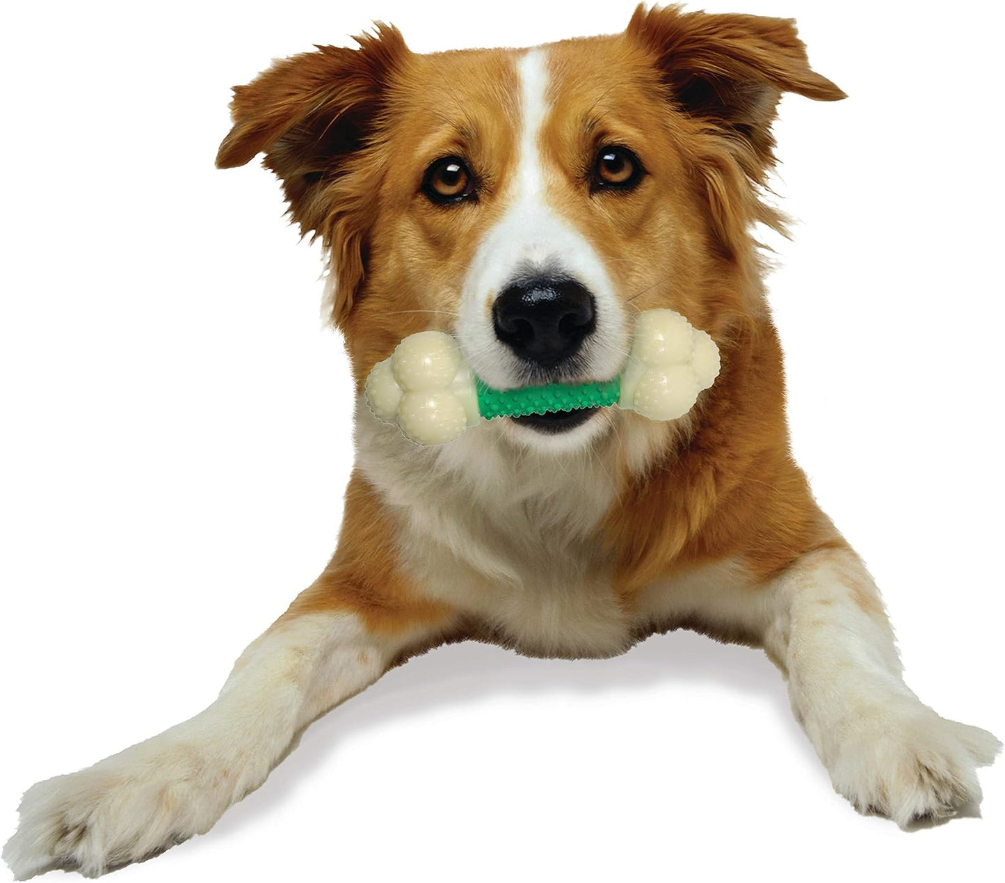 Nylabone Double Action Bacon Medium