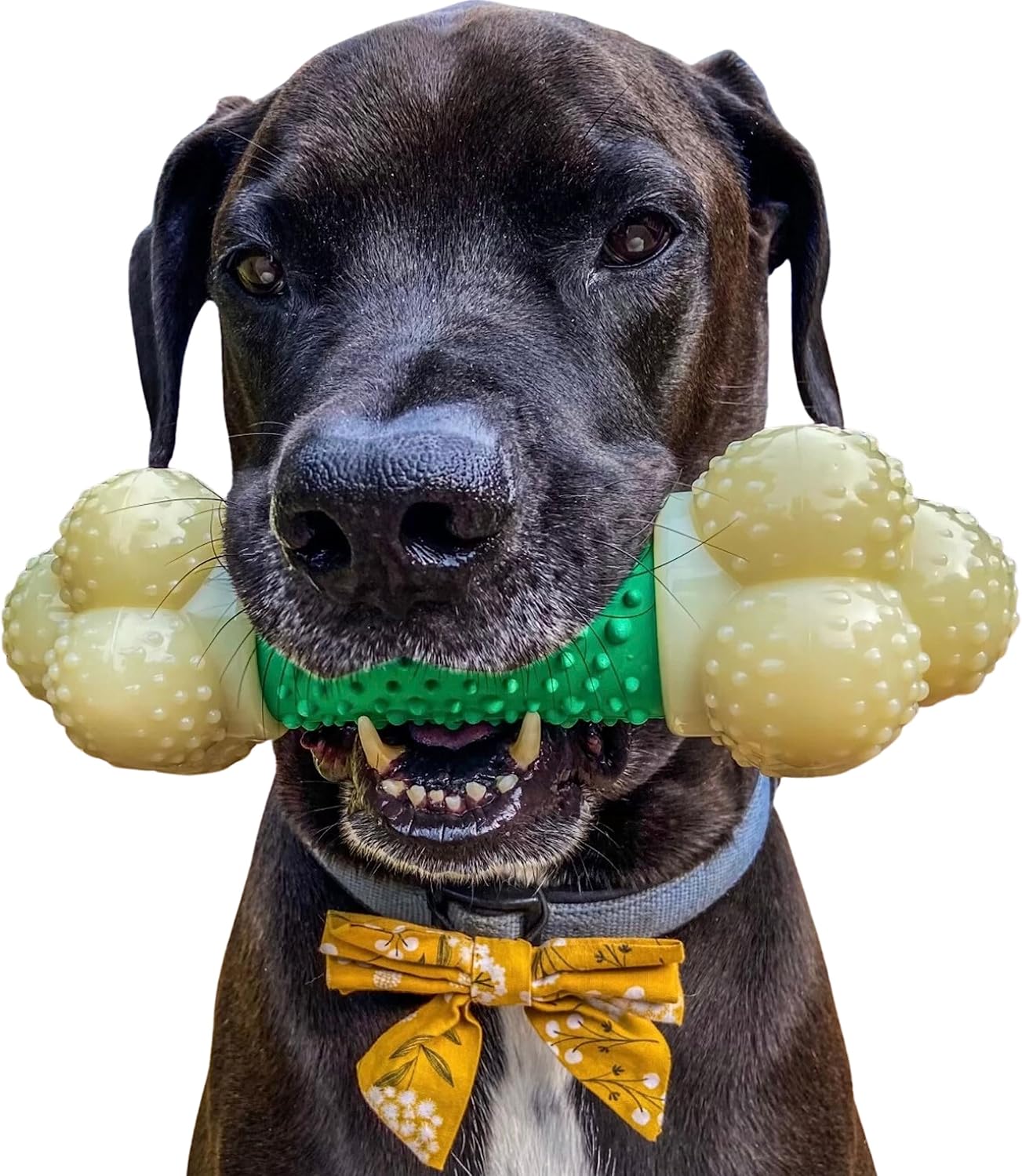 Nylabone Double Action Bacon X Large
