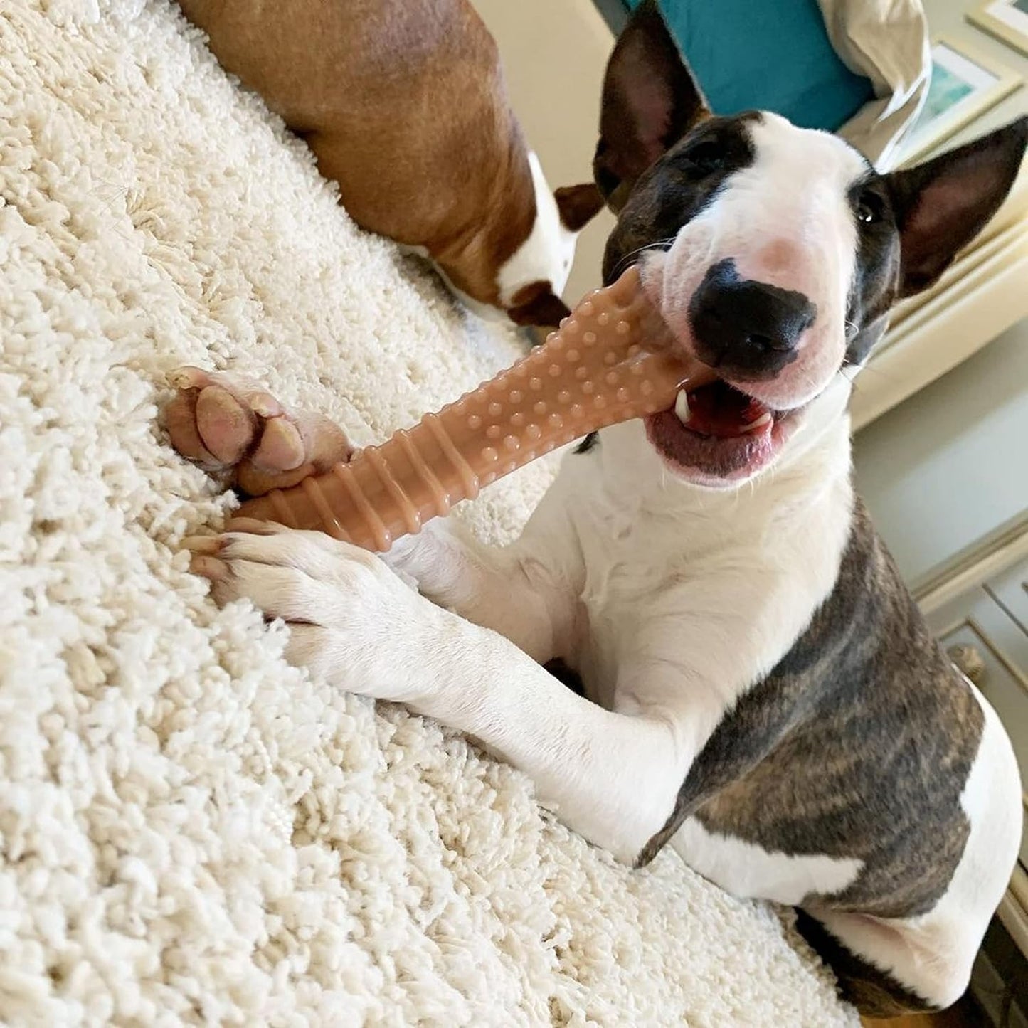 Nylabone Dura Chew Souper Bacon