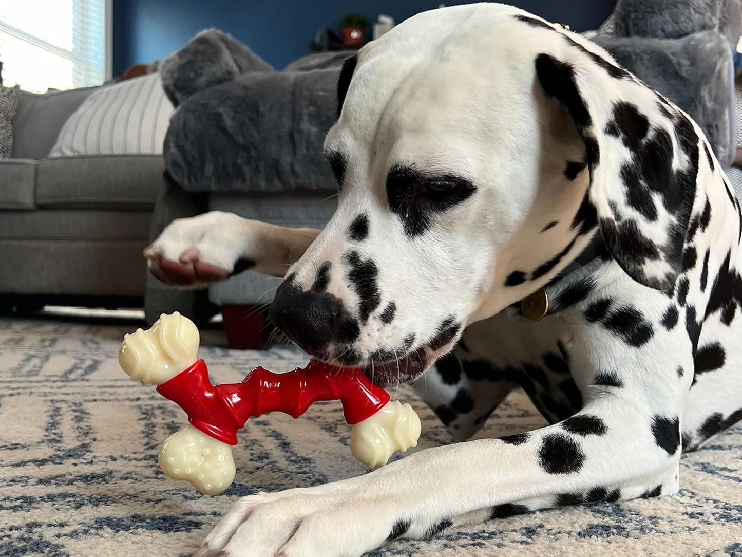 Nylabone Extreme Double Bone Bacon Medium