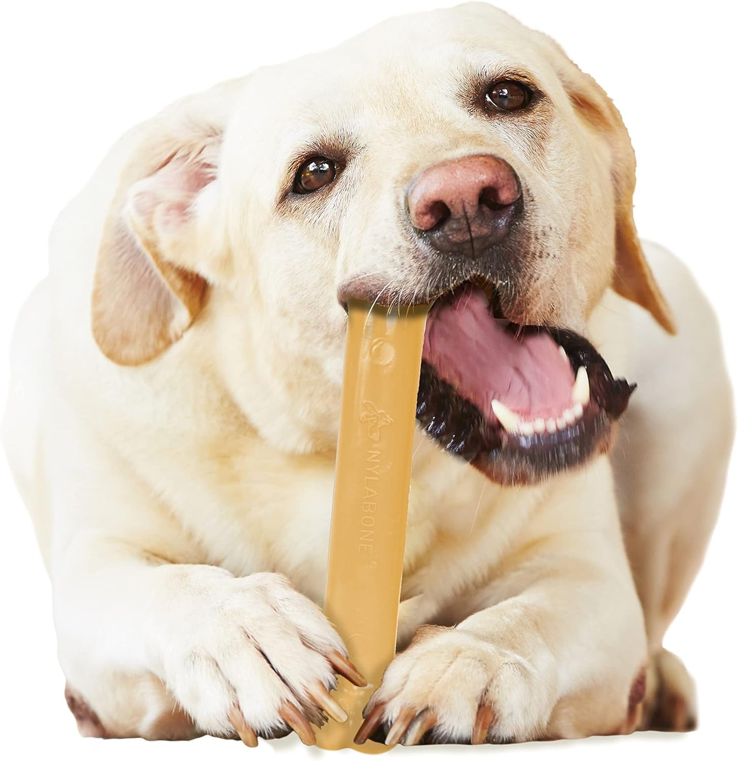 Nylabone Dura Chew Peanut Butter Giant