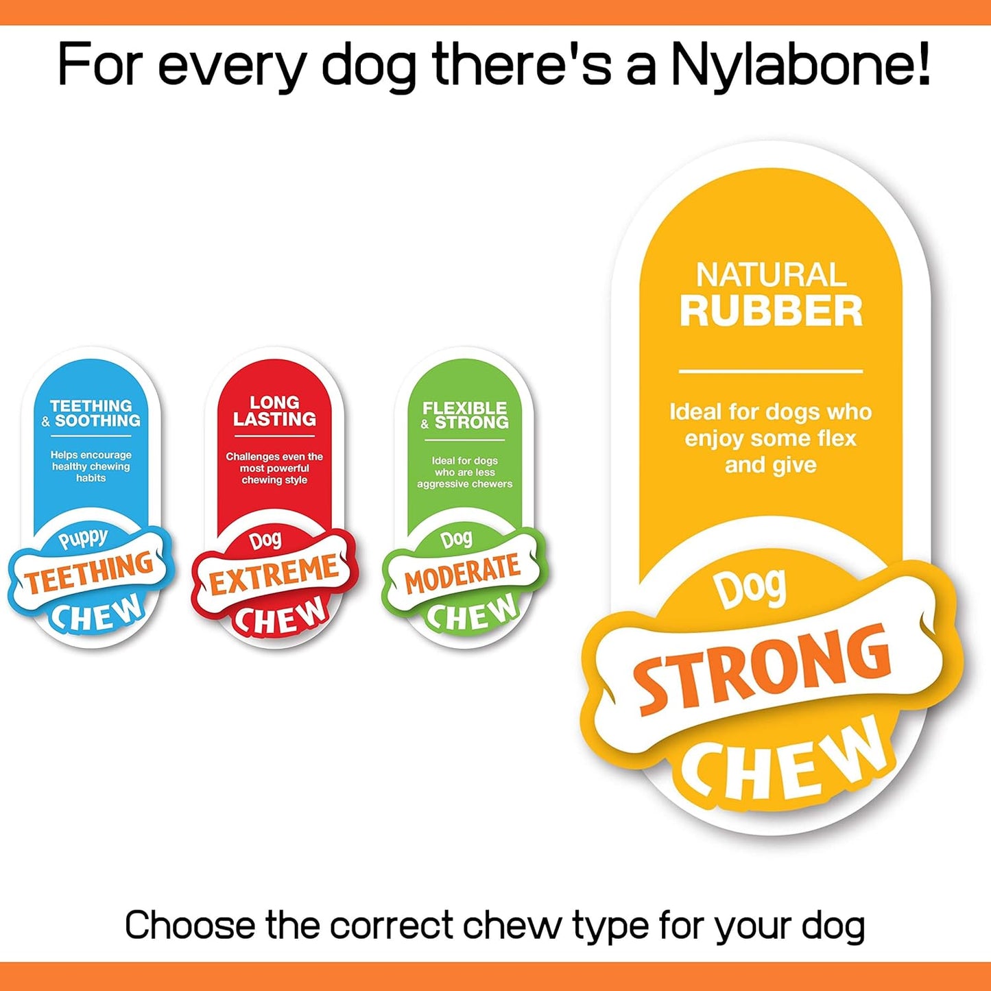 Nylabone Rubber Pimpled Bone Bacon Cheeseburger Small