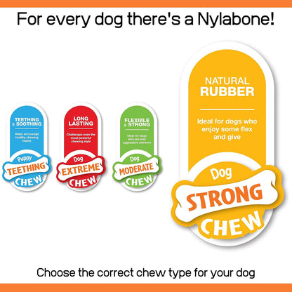 Nylabone Rubber Pimpled Bone Bacon Cheeseburger Small