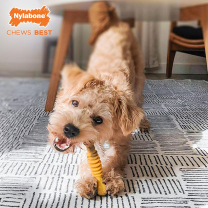 Nylabone Textured Beef & Cheese Bone Small