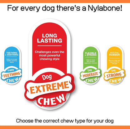 Nylabone Triple Pack Frenzy Summer Bbq