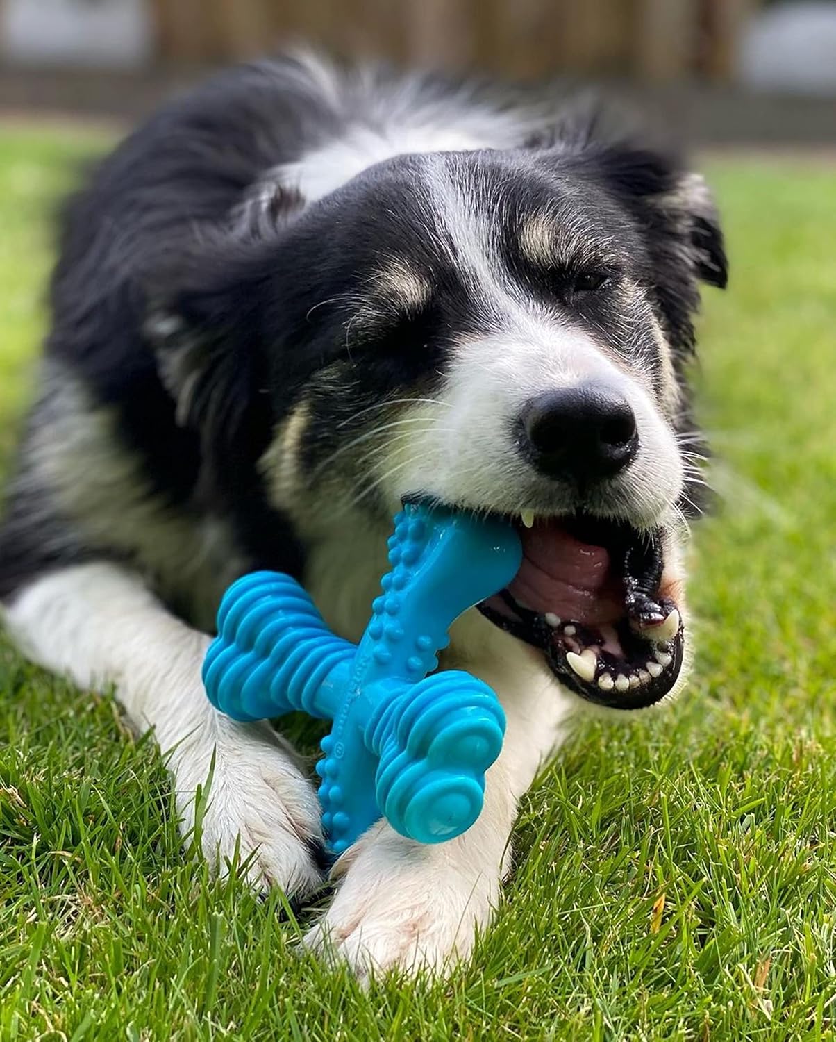 Nylabone Cross Bone Beef