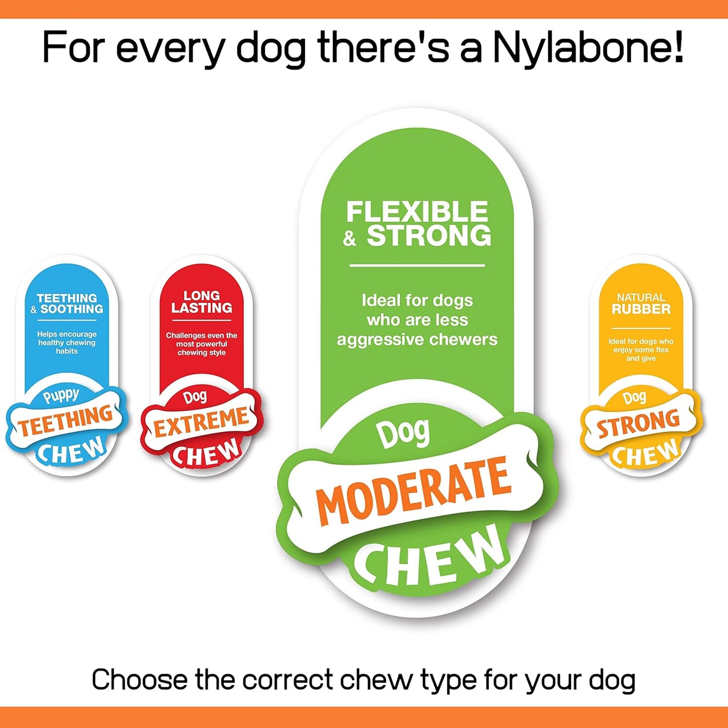 Nylabone X Small Dog Flexible Value 3pcs