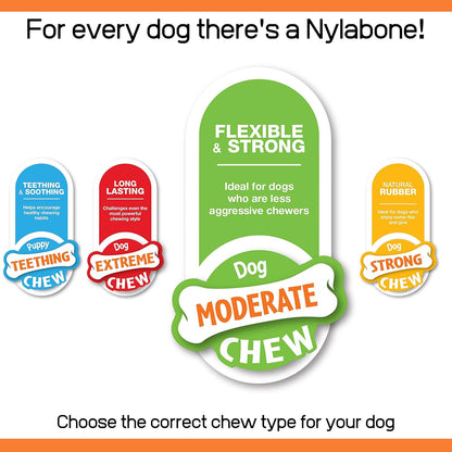 Nylabone X Small Dog Flexible Value 3pcs