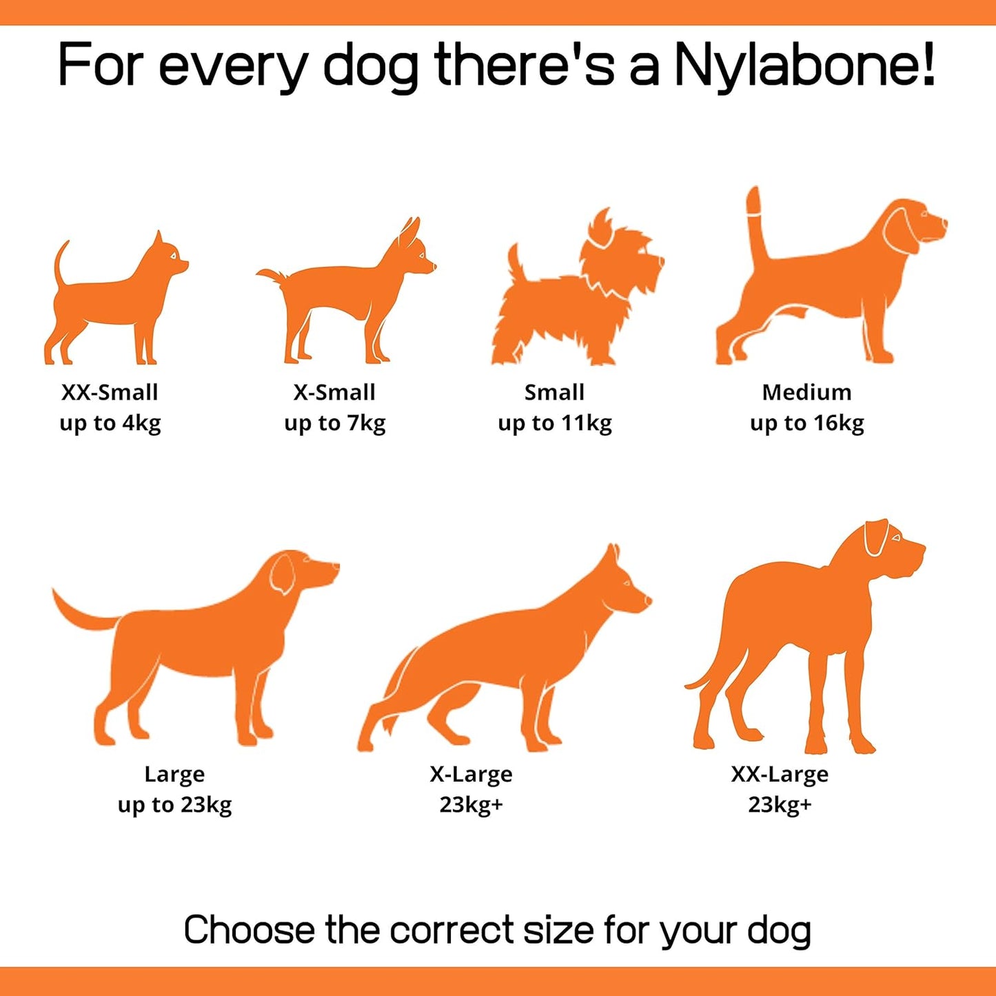 Nylabone X Small Dog Flexible Value 3pcs