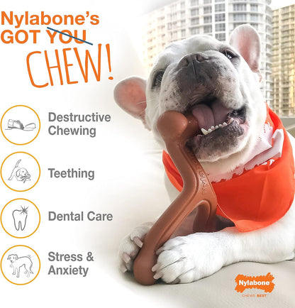 Nylabone Rawhide Knot Bone Beef Medium