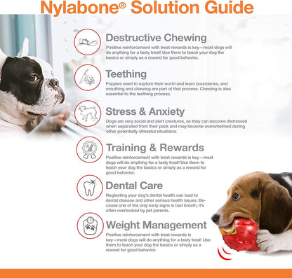 Nylabone Rawhide Knot Bone Beef Medium