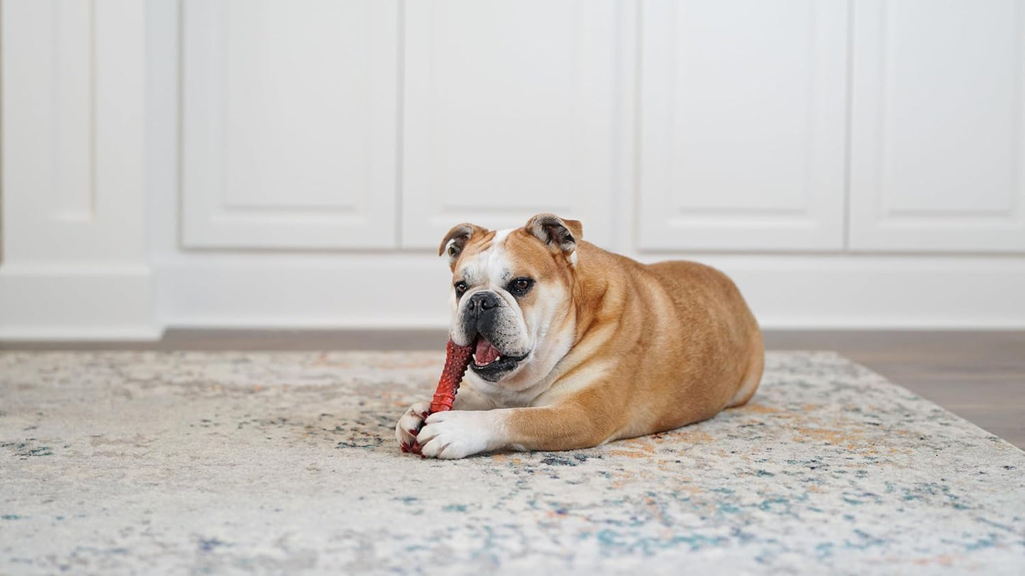 Nylabone Beef Jerky X Large Souper