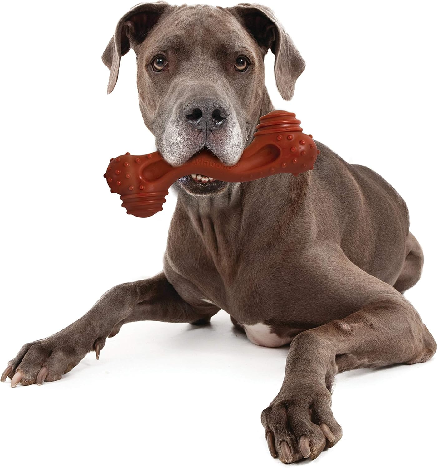 Nylabone Monster Bone Bison Xx Large