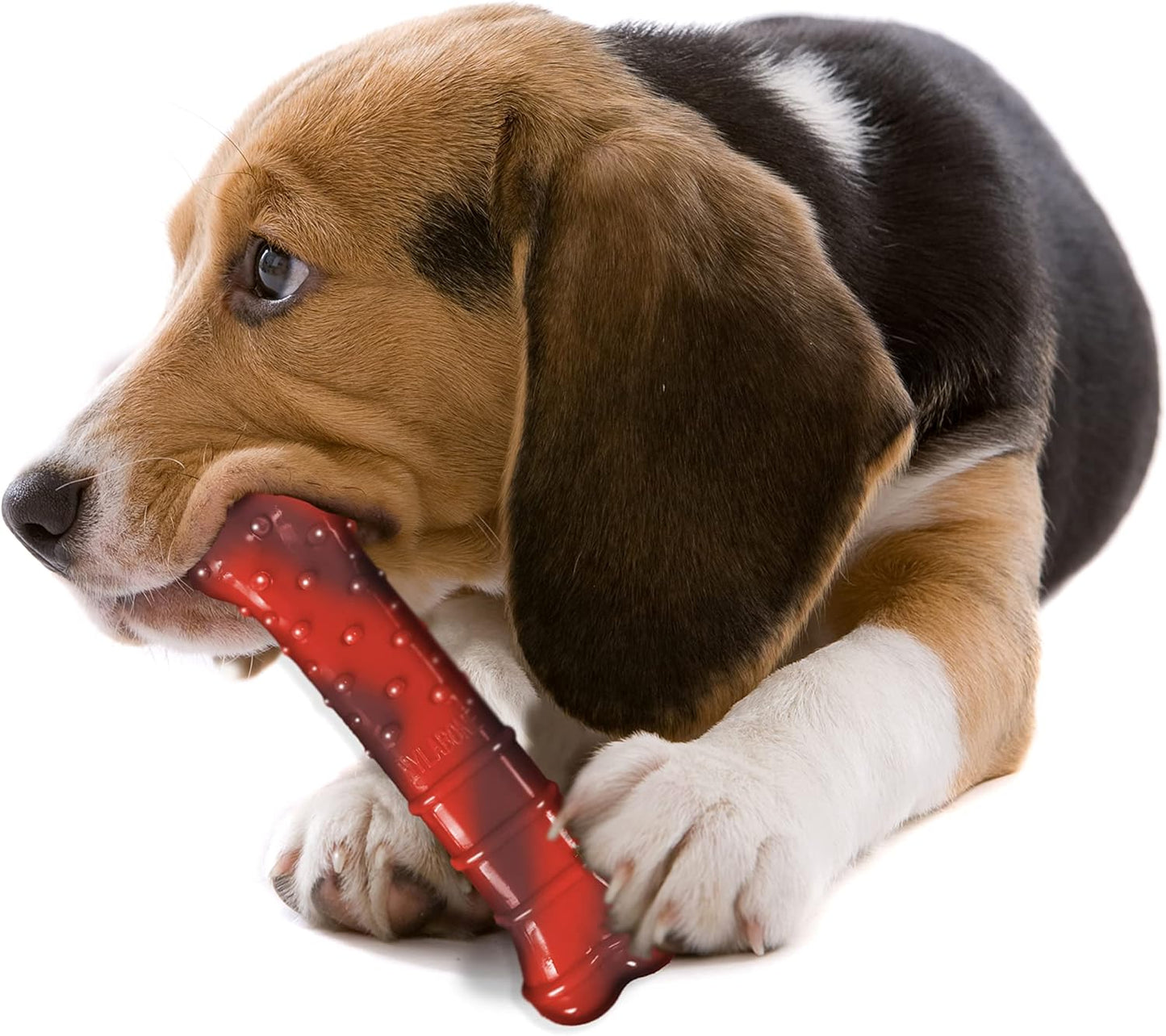 Nylabone Beef Jerky Wolf