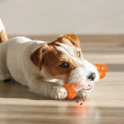 Nylabone Strong Chew Sneaky Snaker Bacon Medium