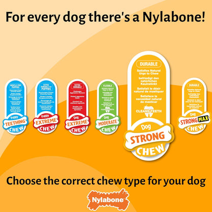 Nylabone Strong Chew Sneaky Snaker Bacon Medium