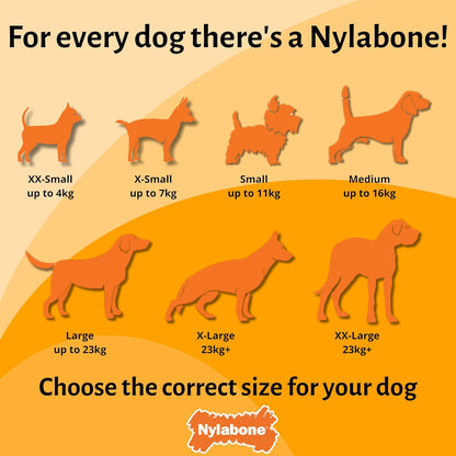 Nylabone Strong Chew Sneaky Snaker Bacon Medium