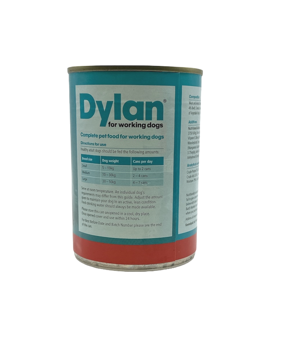 Dylan 12 Pack Tins Variety Pack